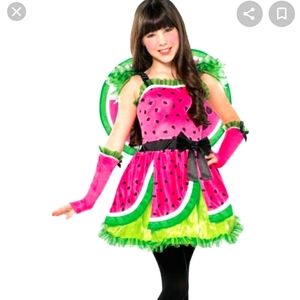 Watermelon Fairy Costume